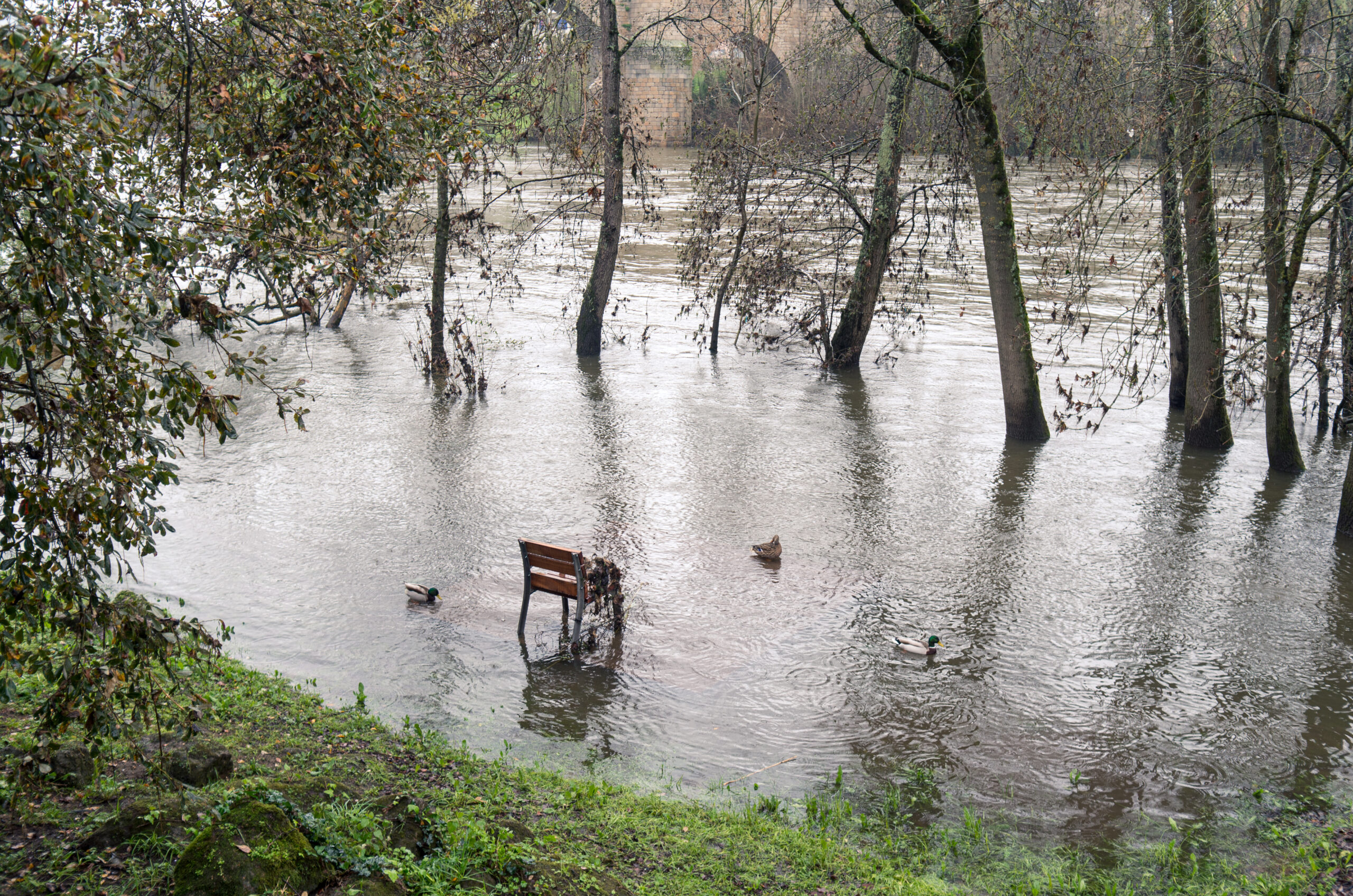 The water recedes, the floods are quickly forgotten